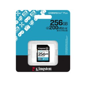 Карта пам'яті Kingston Canvas Go Plus V30 256Gb 10 microSDXC (UHS-1 U3) (SD-адаптер)